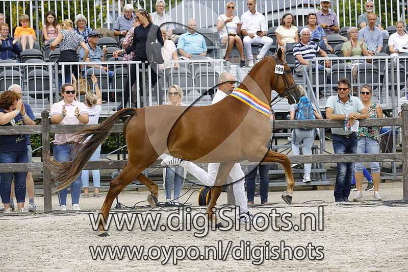 190 Miss Montreal v. Edmundo