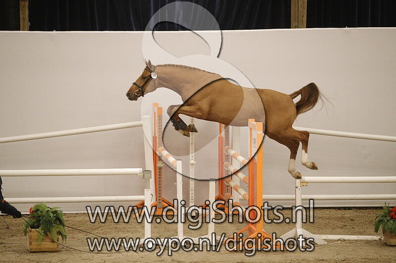 Mikitha v. Lavallino