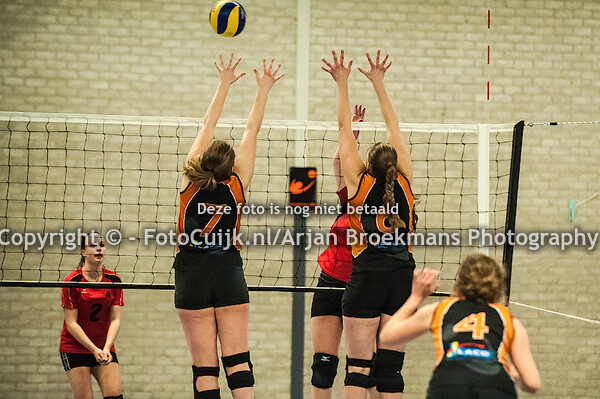 Shock '82 DS 1 - TFC DS 1