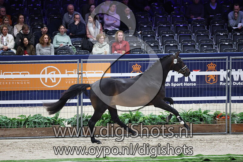 Sir John v. Glamourdale