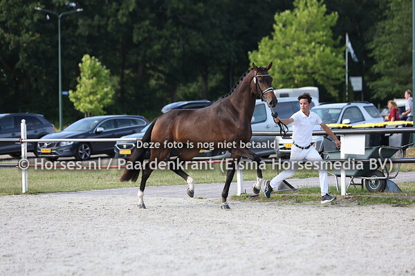 25 Splendid got to Dance (Next Level x Got to Dance)