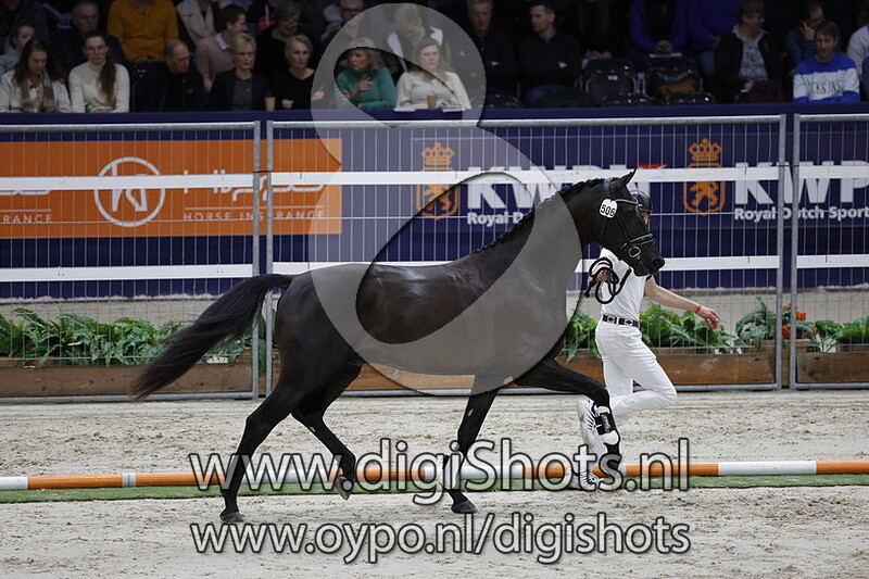 Rafiq v. So Perfect - 506