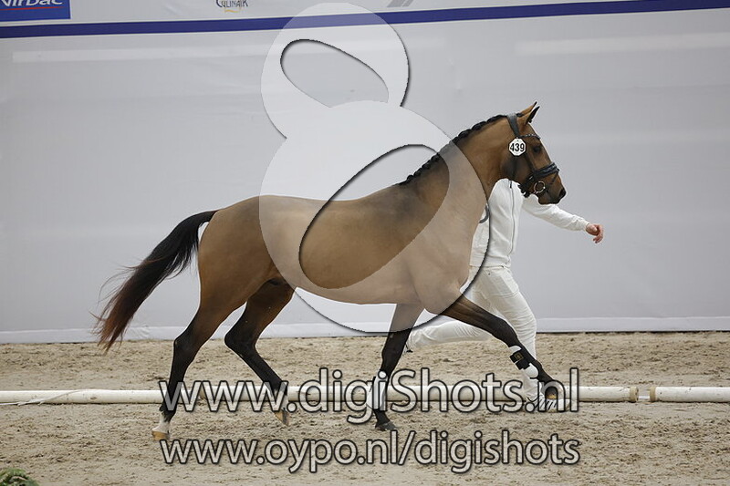 Porsche Panamera JCS v. Kilian - 439