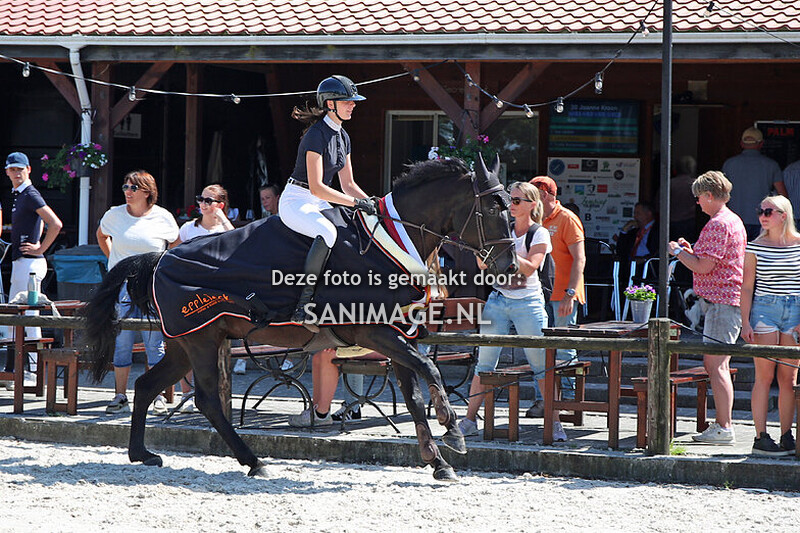 KNHS Regiokampioenschappen Utrecht 29-06-2024 100cm rijstijl