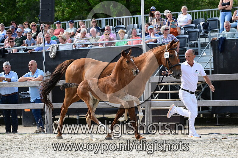 US Harry OHessfln - 020