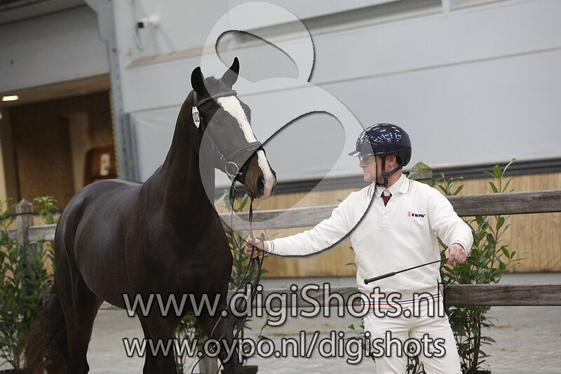 Racoon Vd Radstake v. Landino VDL - 102