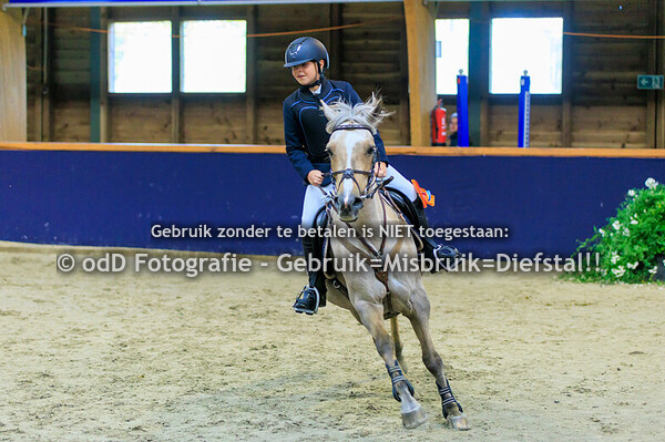 Geldrop Hippique Pony's DE50 13-10-24