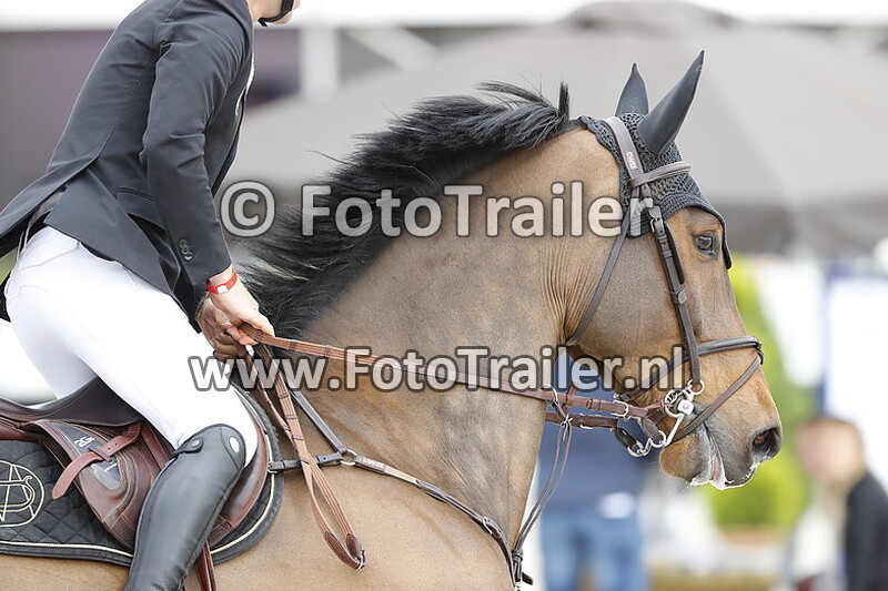 maikel van der vleuten