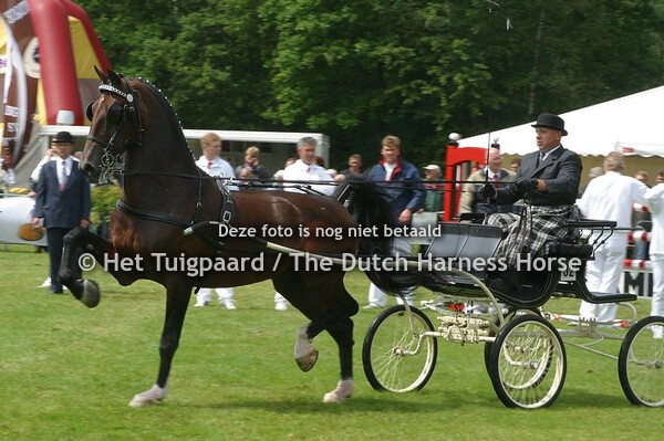 Opgenoort (Jochem x Renovo)