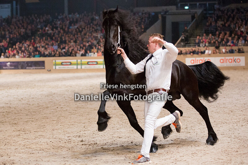 Hengstenkeuring 2018 Markus 491
