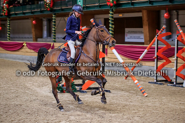 NY Jumping Warredal Pony's 100-110cm 07-01-22