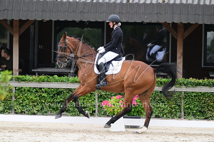 Kim Schooneman - Amigo