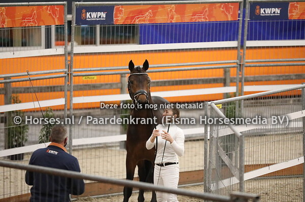 567 Trafalgar x Royal Dance