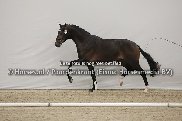 359 Outlander (Fellini x Call me Set v.Florencio) (1)