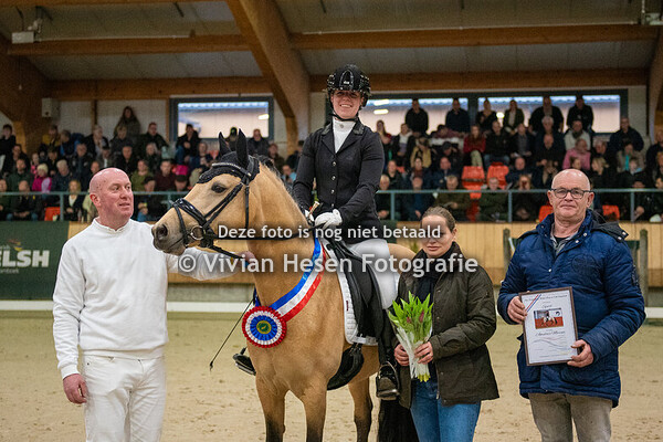 Stamboekhengsten NWR