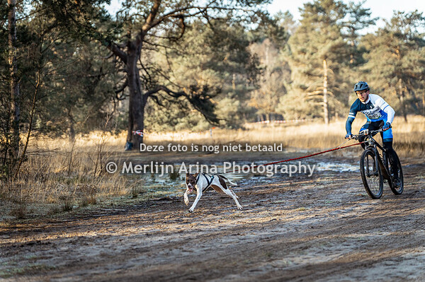 Mastboscross - 27-01 Canicross Step & Bike