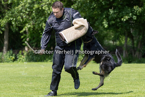 Bea Lieder Schild Rox vd Eshorst