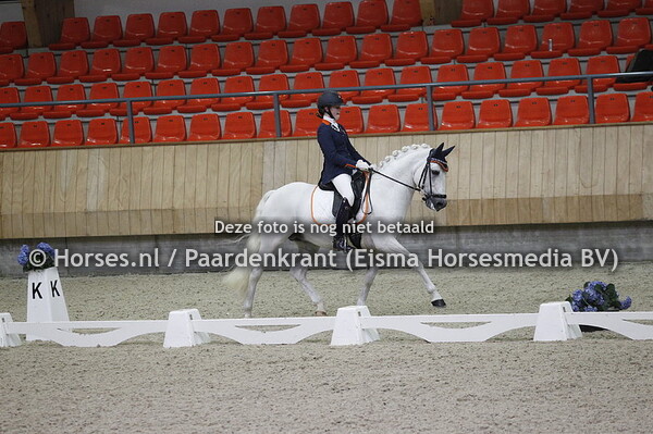 Micky Schelstraete met Elin's Noncisdador (1)