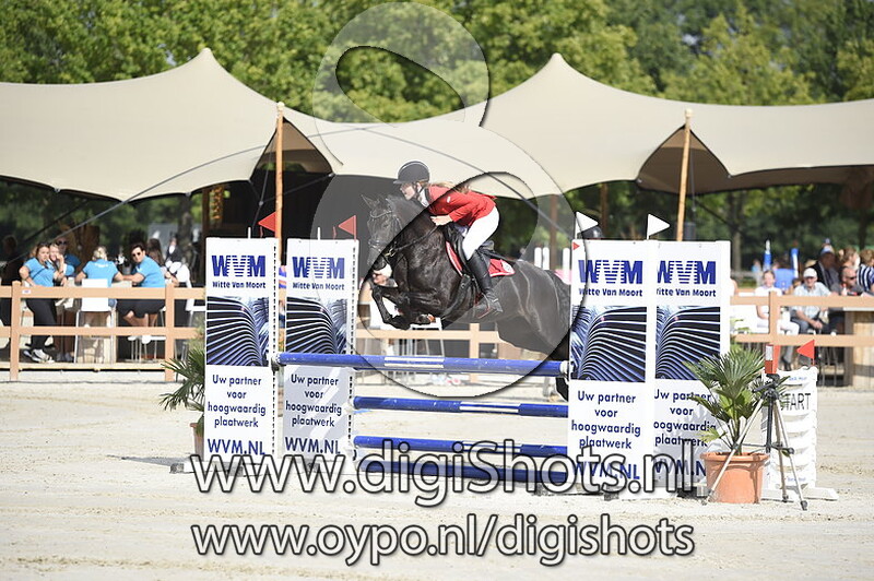 Springen Ponies 0.90 1.00 1.10m