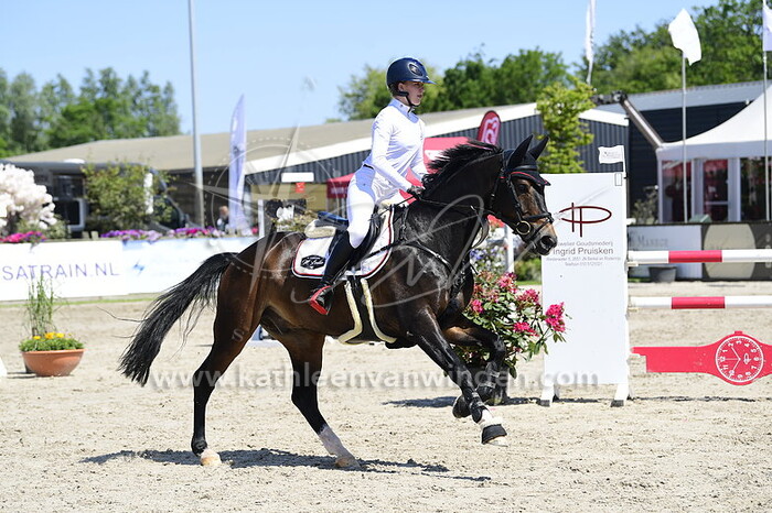 Sas Louter - Marvano