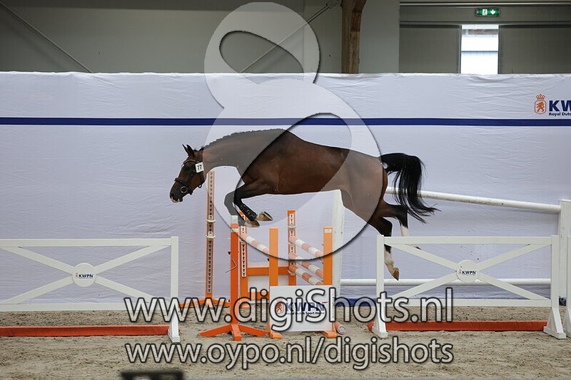 Shamrock VDS v. Grandorado TN