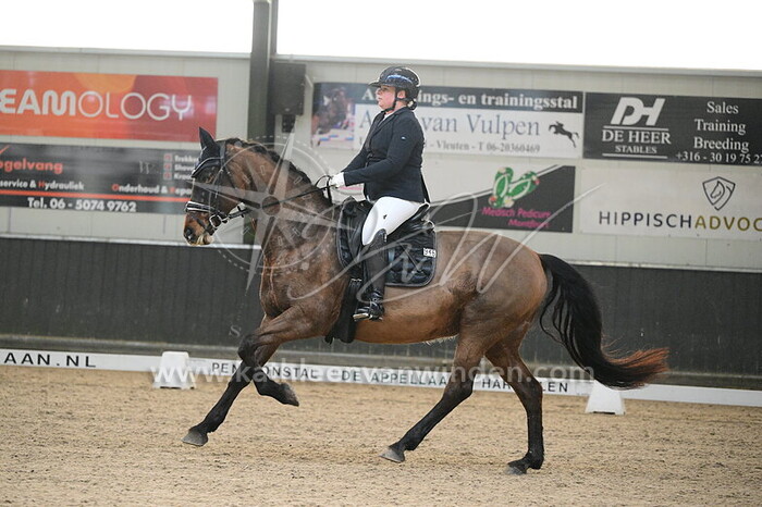 Roeline Wenneker-Veenendaal - Fay