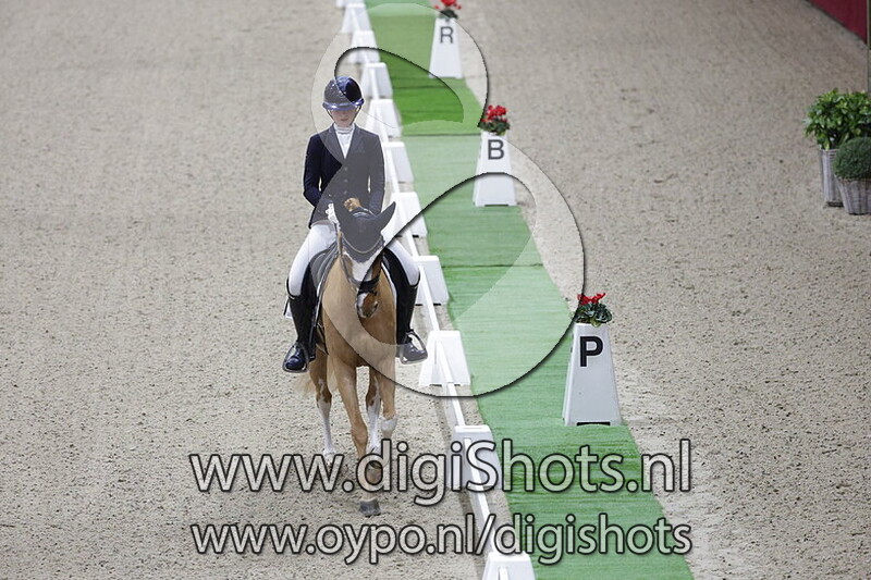 Mochyndaear Dragonfly in Amber