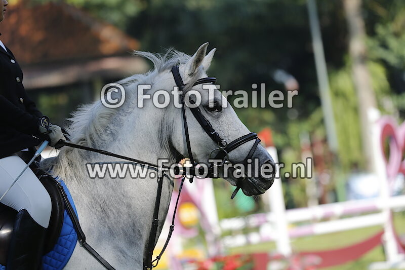 Nabila Putri Shariva