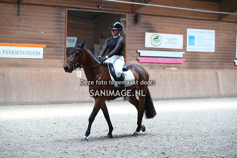 PV Midland Clubkampioenschappen Dressuur 13-04-2024 10.00 uur