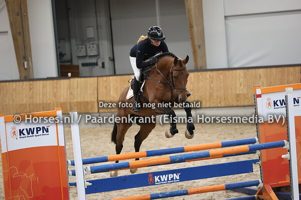 16 Ravello van de Hagenhorst