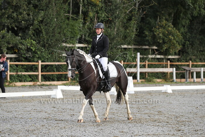 Willy Steenwijk - Clemens