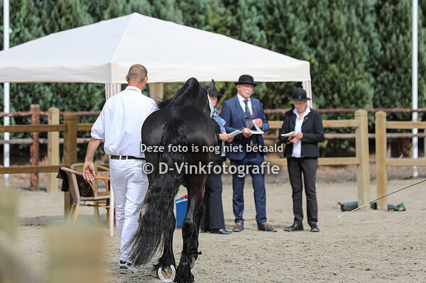 101. Driske Rjitske P