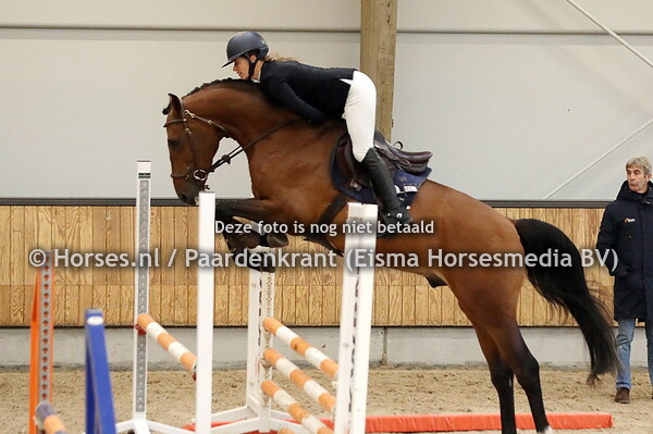 24 Telstar JM (Ermitage Kalone x Mascaris D''Ariel)