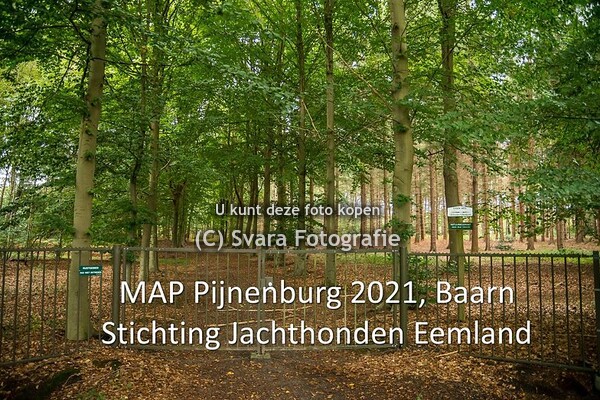MAP Pijnenburg 2021