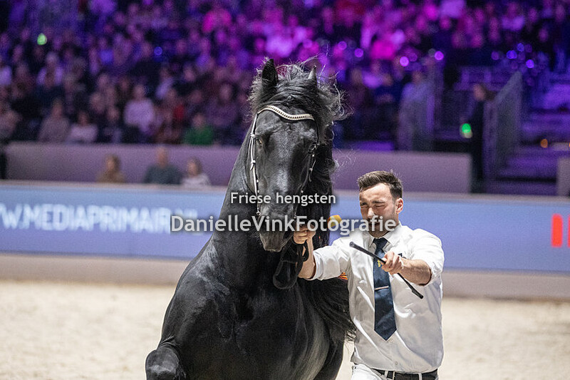 Hengstenkeuring 2024 Waander 512