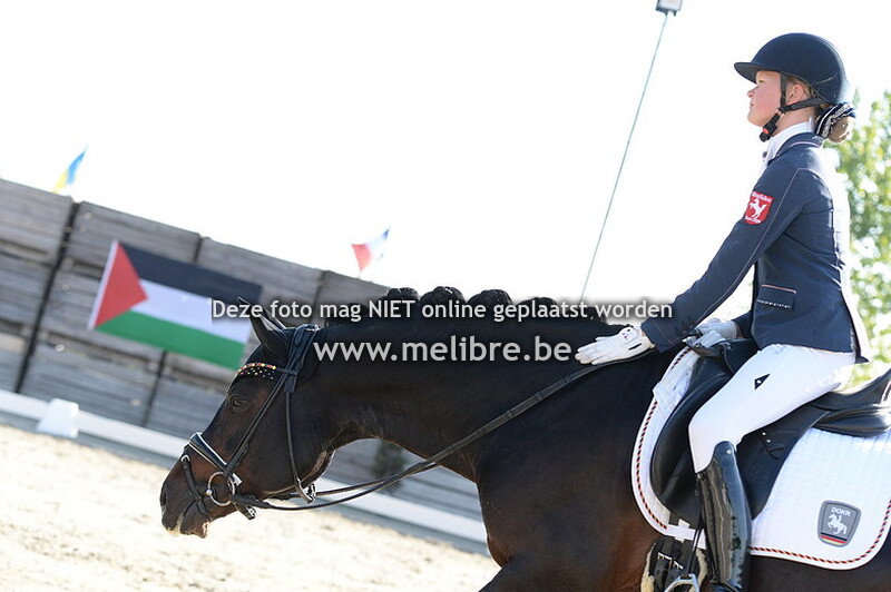 MONDAY - Ponies Freestyle