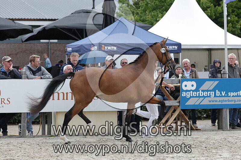 Showtime v. Las Vegas