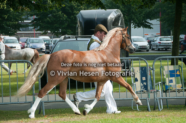 Memorial Rudy Landuyt