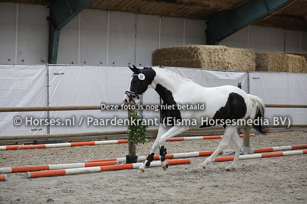 51 Magic Colour M (Painetd Black x Robijn v. Ed King Hill)