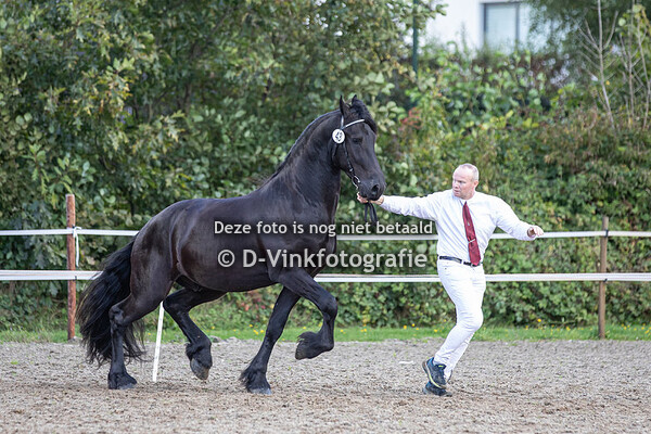 43. Kerel van Koningsland