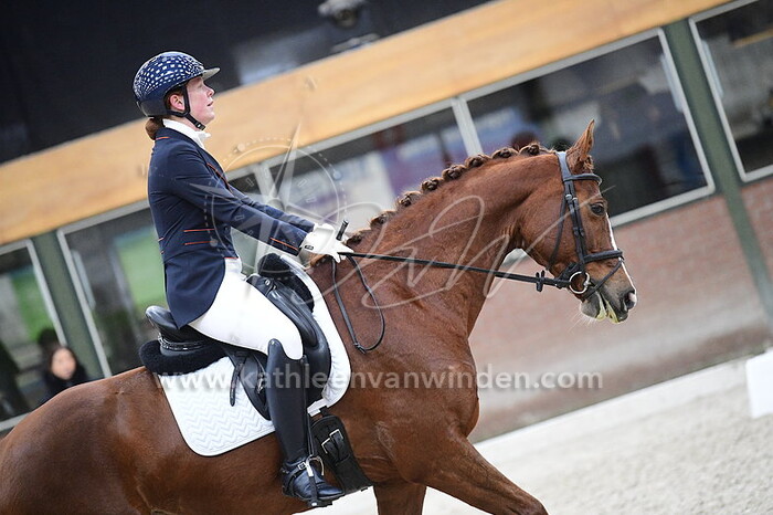 Violier van 't Einde - Haylina