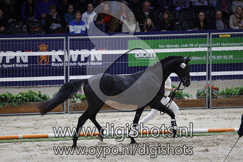 Rafael v. So Perfect - 504