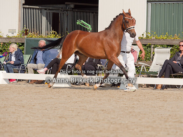 NWR Keuring 31-08-2024 Houten
