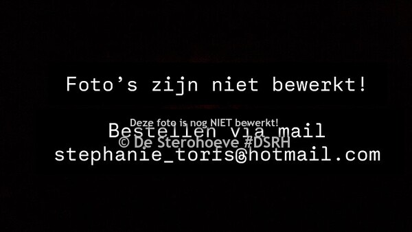 BWP Fokkerijdag Tienen 05 juli 2025 ONBEWERKT