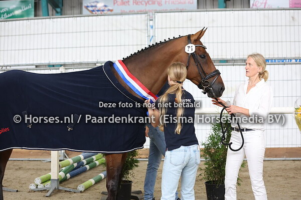 71 OH tessse VDB (Arezzo VDL x Tesse v. Furore)