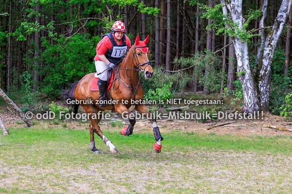 Grandorse Horsetrials Paard B intro 03-05-25