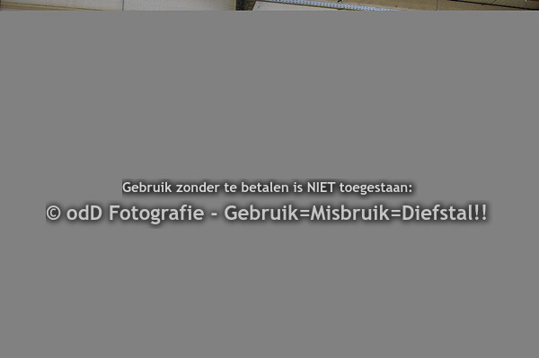 CH Neuderuiters Nijkerk 90cm 24-01-24