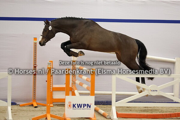 72 (Elvis ter Putte x Niveau)