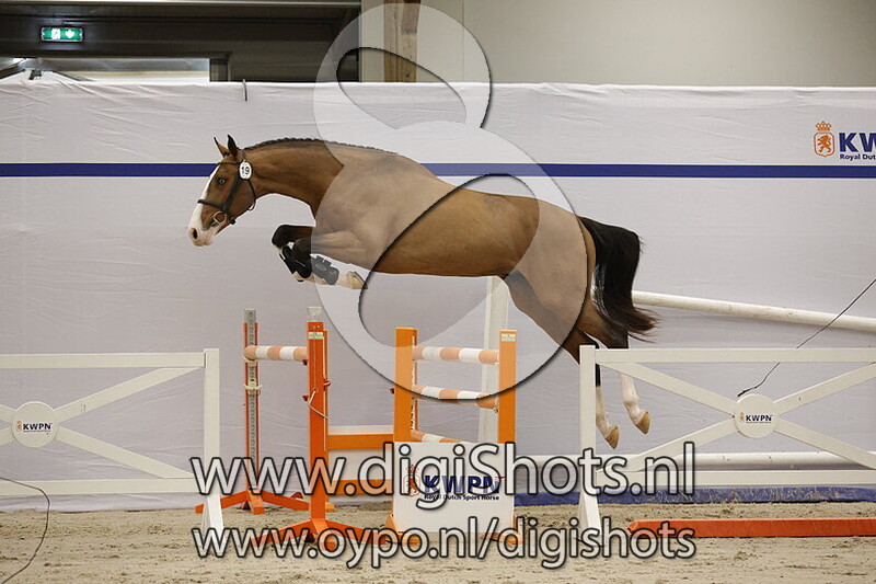 Sunday Keizersberg v. Carambole