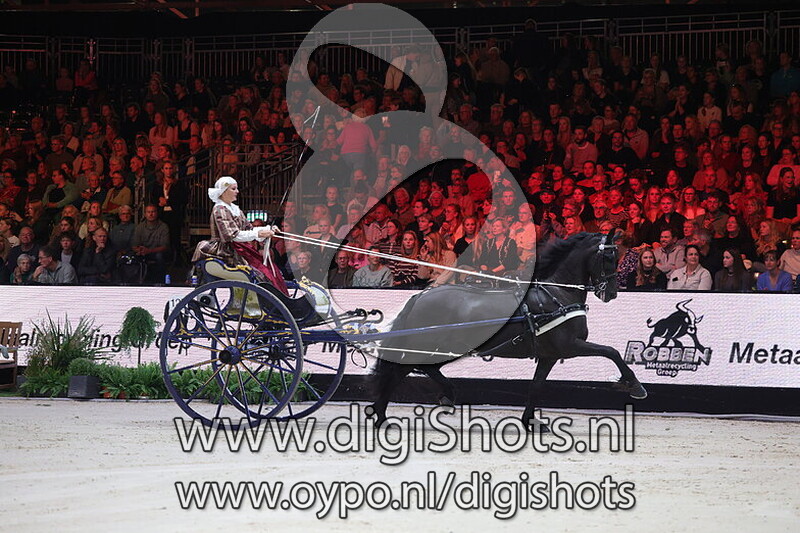 01 Friese ras - Dames voor de sjees